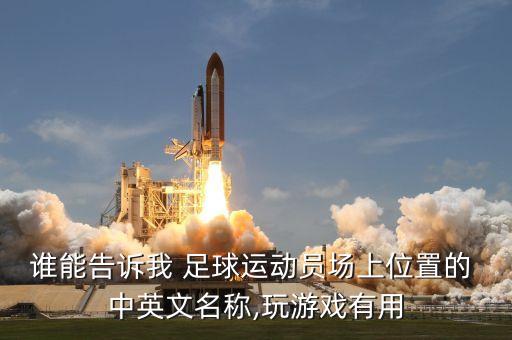 誰能告訴我 足球運動員場上位置的 中英文名稱,玩游戲有用