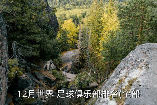 12月世界 足球俱樂部排名(全部