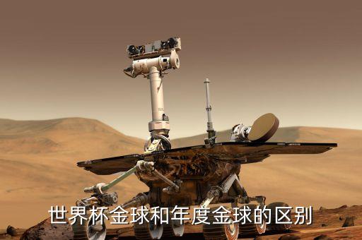 世界杯金球和年度金球的區(qū)別