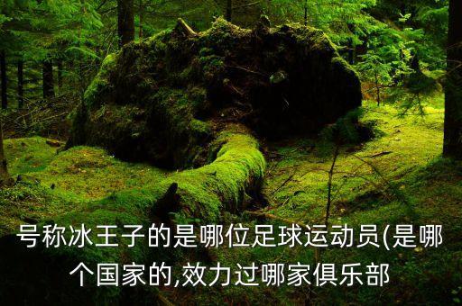 號稱冰王子的是哪位足球運動員(是哪個國家的,效力過哪家俱樂部