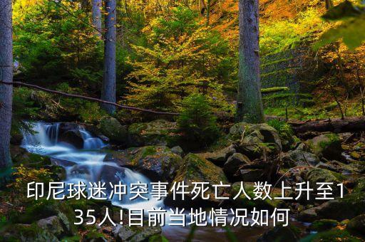  印尼球迷沖突事件死亡人數(shù)上升至135人!目前當(dāng)?shù)厍闆r如何