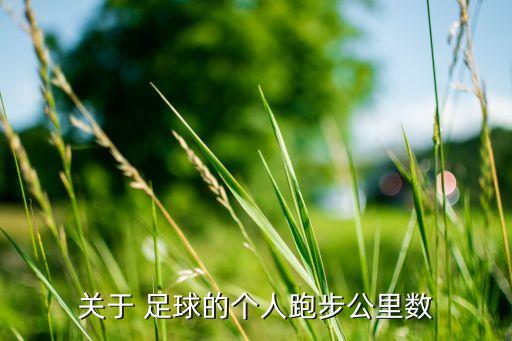 關(guān)于 足球的個人跑步公里數(shù)