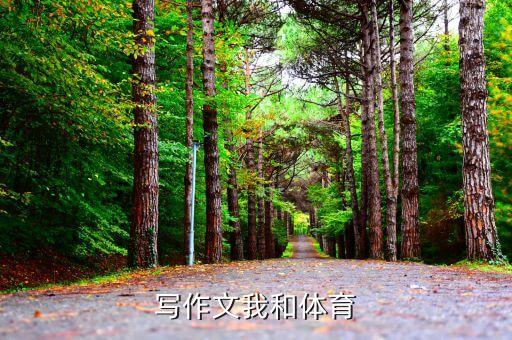 校園足球征文800初中,以校園足球為主題的征文