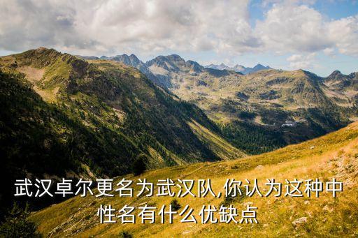 武漢卓爾更名為武漢隊,你認為這種中性名有什么優(yōu)缺點
