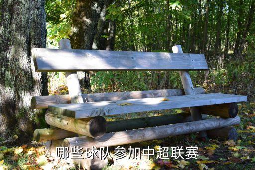 大連一方桓大足球比塞