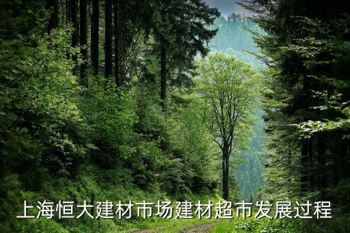 恒大型足球蛋糕,以足球?yàn)橹黝}的蛋糕圖片
