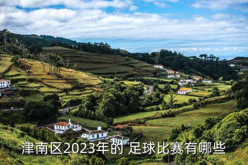 津南區(qū)2023年的 足球比賽有哪些