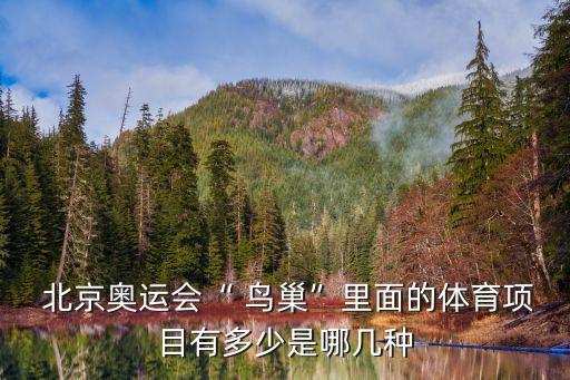  北京奧運(yùn)會(huì)“ 鳥(niǎo)巢”里面的體育項(xiàng)目有多少是哪幾種