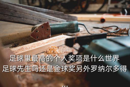  足球里最高的個(gè)人獎(jiǎng)項(xiàng)是什么世界 足球先生嗎還是金球獎(jiǎng)另外羅納爾多得...