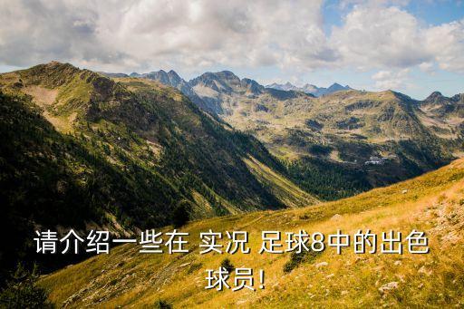 請介紹一些在 實況 足球8中的出色 球員!