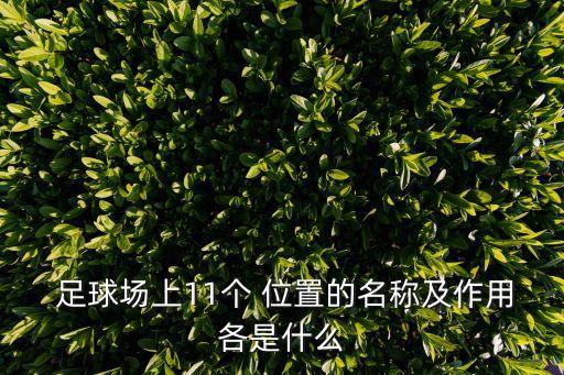  足球場上11個 位置的名稱及作用各是什么