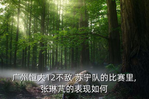 蘇寧對廣卅恒大足球