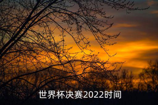  世界杯決賽2022時(shí)間
