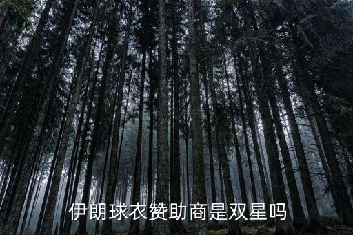 2018伊朗足球隊服,伊朗足球隊服變化