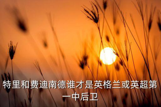 特里和費迪南德誰才是英格蘭或英超第一中后衛(wèi)