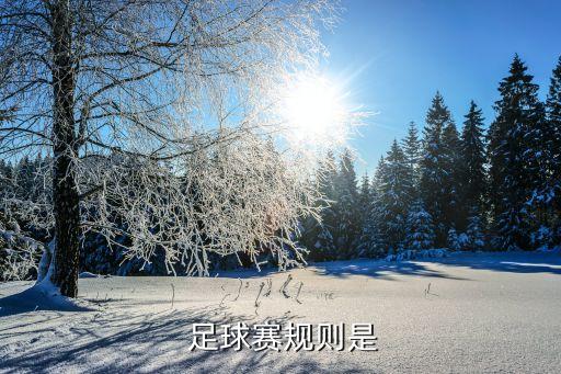  足球賽規(guī)則是