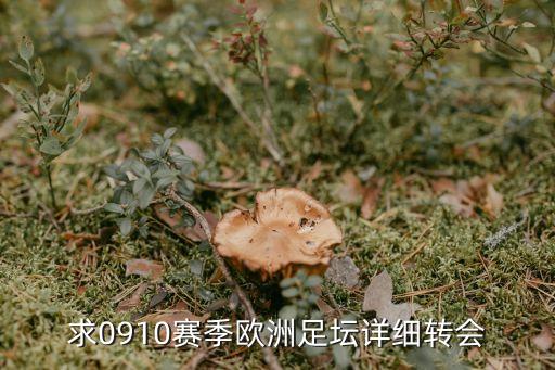 求0910賽季歐洲足壇詳細(xì)轉(zhuǎn)會(huì)