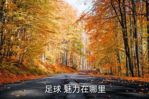  足球 魅力在哪里