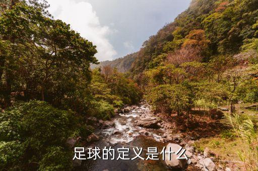  足球的定義是什么