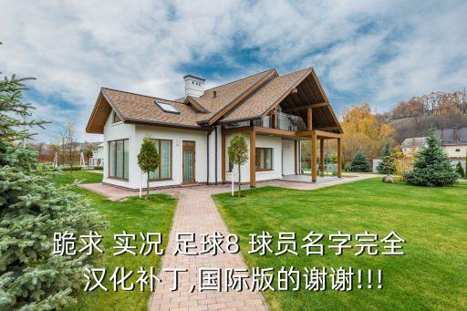 跪求 實況 足球8 球員名字完全 漢化補丁,國際版的謝謝!!!