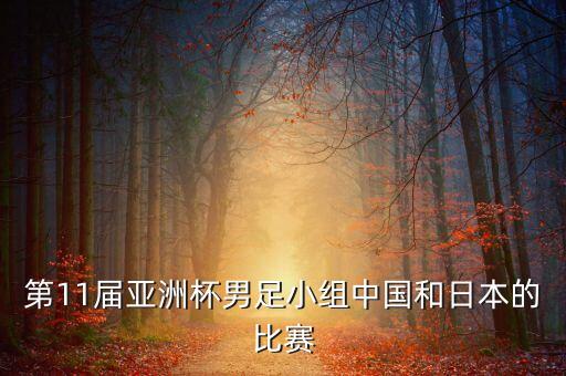 第11屆亞洲杯男足小組中國和日本的比賽