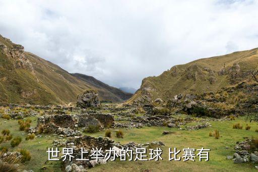 世界上舉辦的足球 比賽有