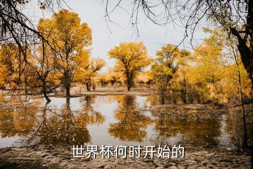 2010世界杯足球開(kāi)幕式,卡塔爾足球世界杯開(kāi)幕式視頻