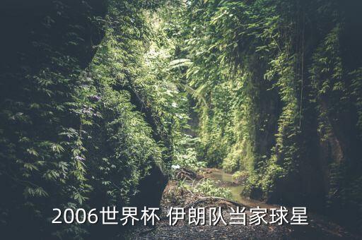 2006世界杯 伊朗隊(duì)當(dāng)家球星
