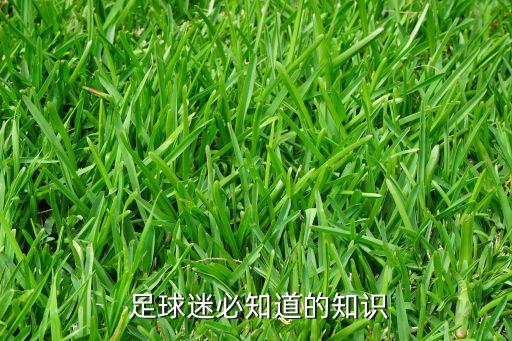 足球常識介紹,關(guān)于足球常識及小技巧