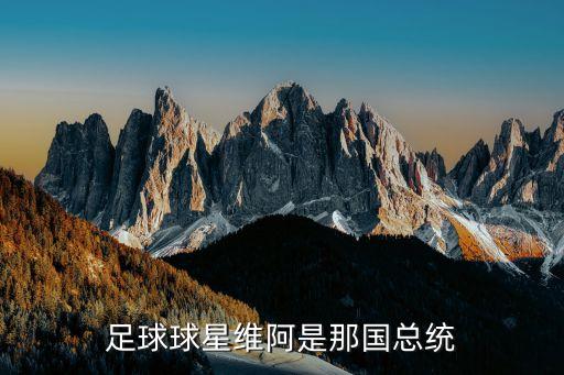 足球球星維阿是那國總統(tǒng)