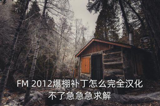 足球經(jīng)理2012中文硬盤版