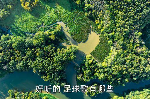 好聽(tīng)的 足球歌有哪些