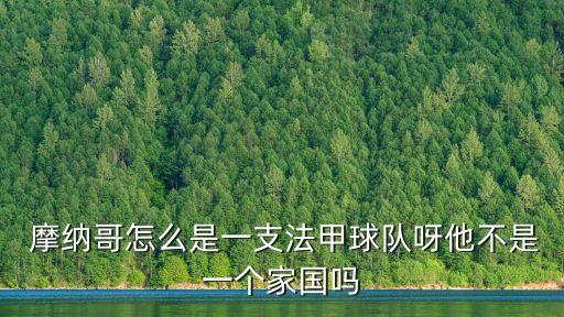  摩納哥怎么是一支法甲球隊呀他不是一個家國嗎