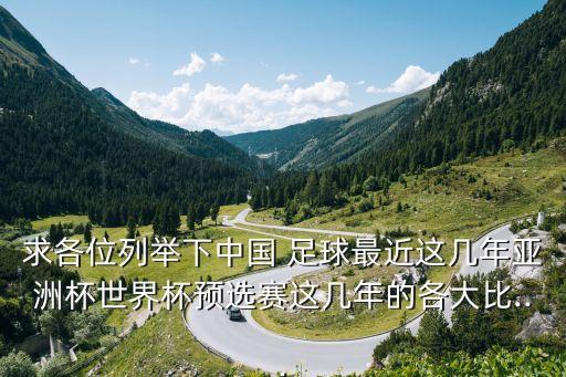 求各位列舉下中國 足球最近這幾年亞洲杯世界杯預(yù)選賽這幾年的各大比...
