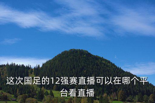 這次國(guó)足的12強(qiáng)賽直播可以在哪個(gè)平臺(tái)看直播