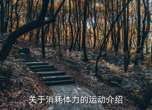 關(guān)于消耗體力的運(yùn)動(dòng)介紹