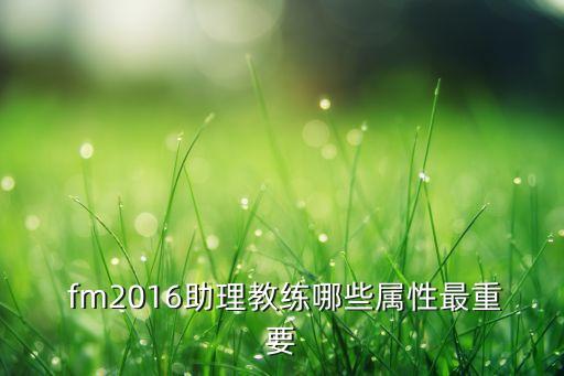  fm2016助理教練哪些屬性最重要