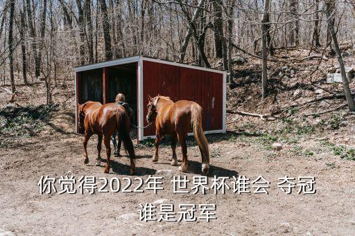你覺得2022年 世界杯誰會(huì) 奪冠誰是冠軍