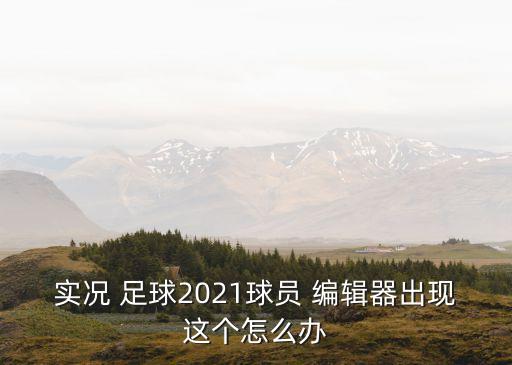 實(shí)況 足球2021球員 編輯器出現(xiàn)這個(gè)怎么辦