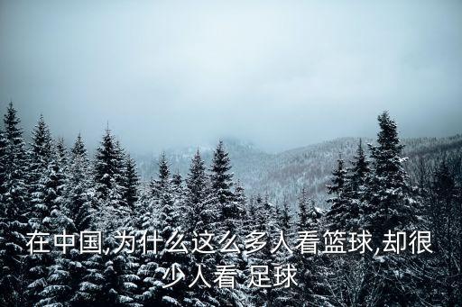 中國人不喜歡足球,如果你喜歡足球而不喜歡梅西