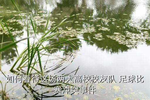 足球球友賽,小學(xué)生足球用幾號(hào)球
