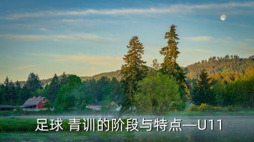  足球 青訓(xùn)的階段與特點(diǎn)—U11