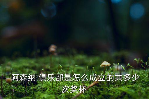  阿森納 俱樂(lè)部是怎么成立的共多少次獎(jiǎng)杯