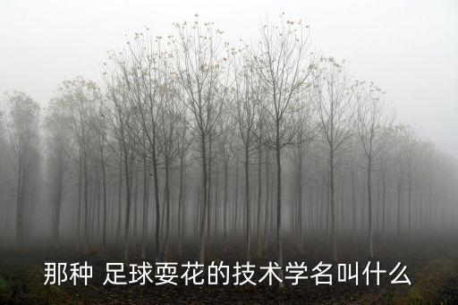 那種 足球?；ǖ募夹g(shù)學(xué)名叫什么