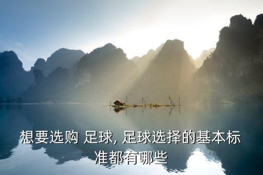 想要選購(gòu) 足球, 足球選擇的基本標(biāo)準(zhǔn)都有哪些