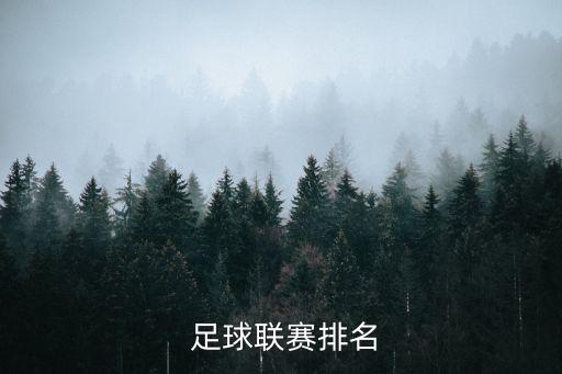 足球積分榜平分,亞洲足球預(yù)選賽積分榜