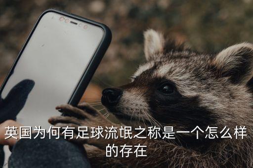 英國為何有足球流氓之稱是一個怎么樣的存在