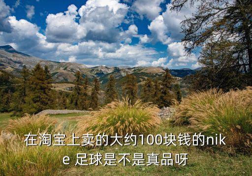 在淘寶上賣的大約100塊錢的nike 足球是不是真品呀