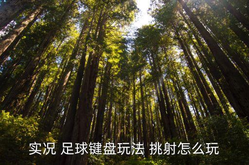 實(shí)況 足球鍵盤玩法 挑射怎么玩