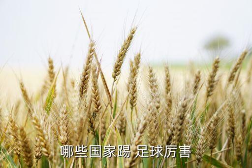 哪些國家踢 足球厲害